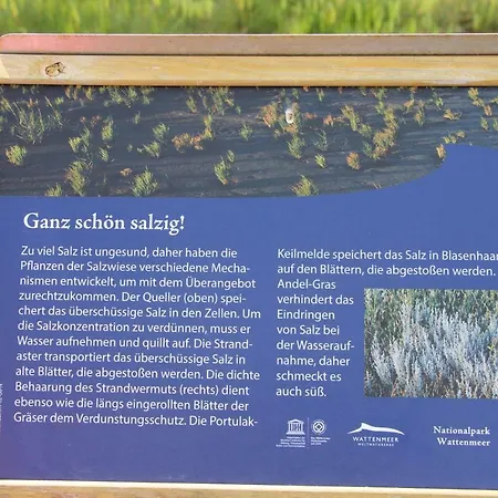 Fewo Live - Gowatt Friedrichskoog